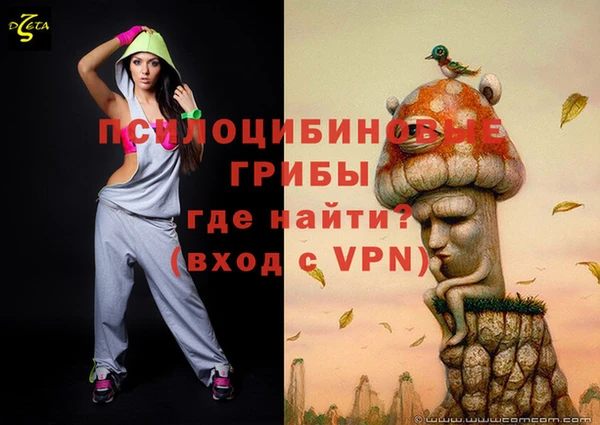 ПСИЛОЦИБИНОВЫЕ ГРИБЫ Нязепетровск
