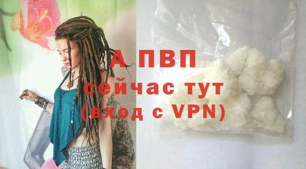 ПСИЛОЦИБИНОВЫЕ ГРИБЫ Нязепетровск