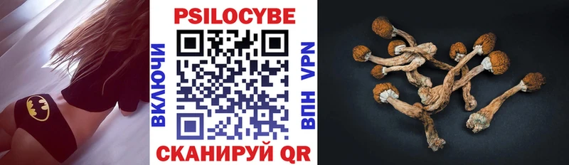 Псилоцибиновые грибы MAGIC MUSHROOMS  Купить закладки  Алексин 